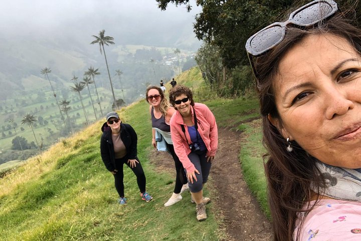 Full-Day Private Coffee Tour in Cocora Valley and Salento