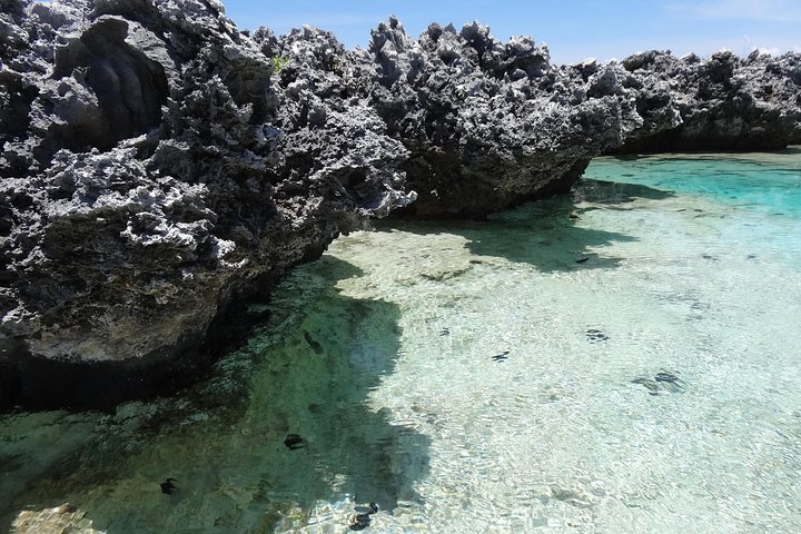 REEF ISLAND | private island | pink sand | natural swimming pools