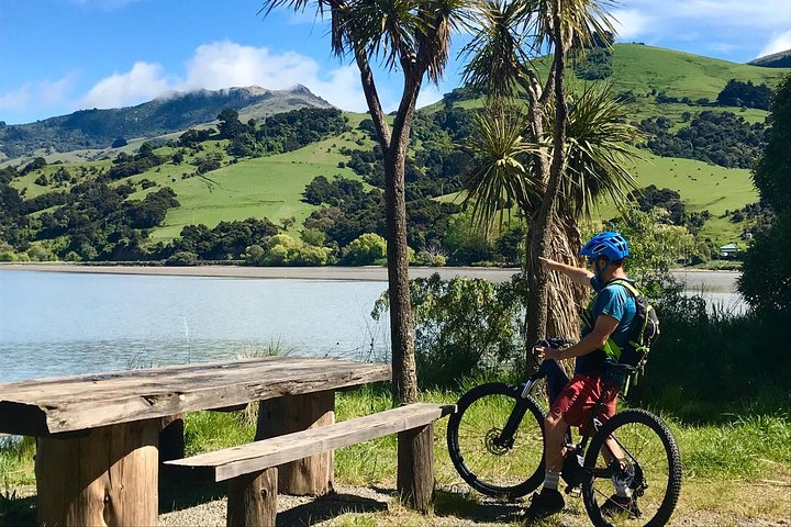 Akaroa Explorer- Guided Electric Bike Tour in Akaroa