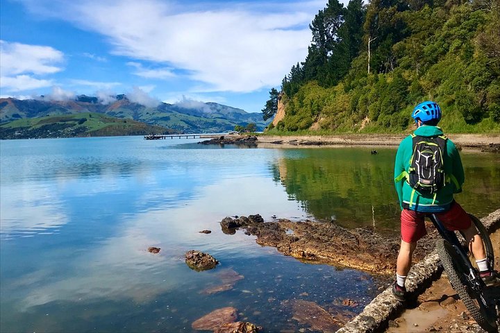 Akaroa Explorer- Guided Electric Bike Tour in Akaroa