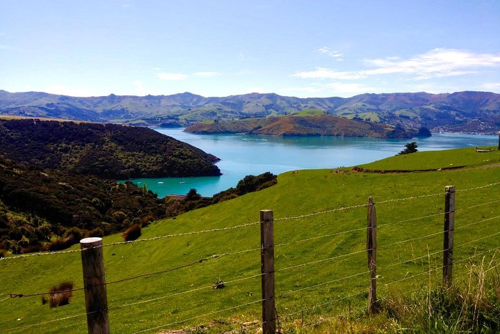 Akaroa Explorer- Guided Electric Bike Tour in Akaroa