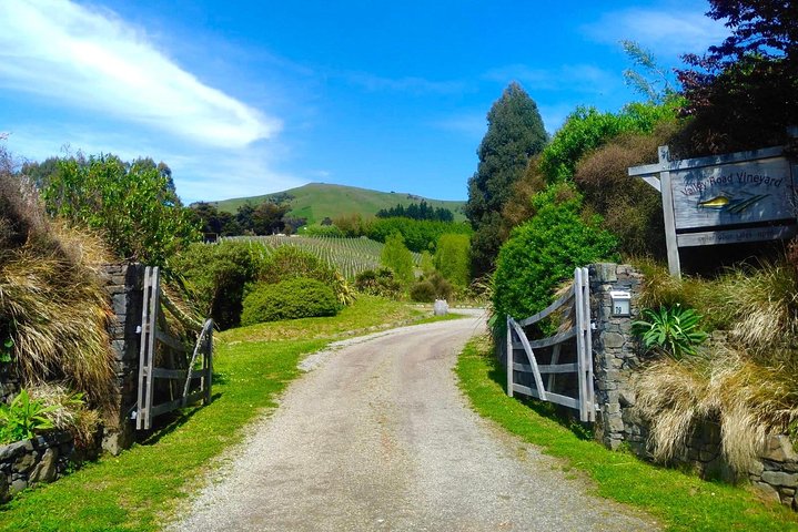 Akaroa Explorer- Guided Electric Bike Tour in Akaroa