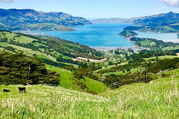Lava Loop- Guided electric mountain bike tour in Akaroa