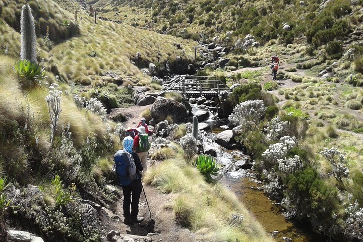 4 Days Mount Kenya Climbing - Sirimon Route