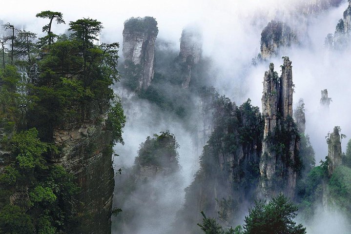 1-Day Private Tour to ZJJ National Forest Park & Avatar Mountain