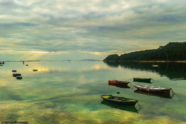 Rías Baixas Private Tour with Wine Tasing, Food, Mussels Boat and Pickup