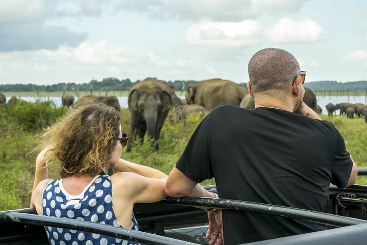 GO WILD! Double Safari Day Trip (Yala & Udawalawe) - Private & All Inclusive