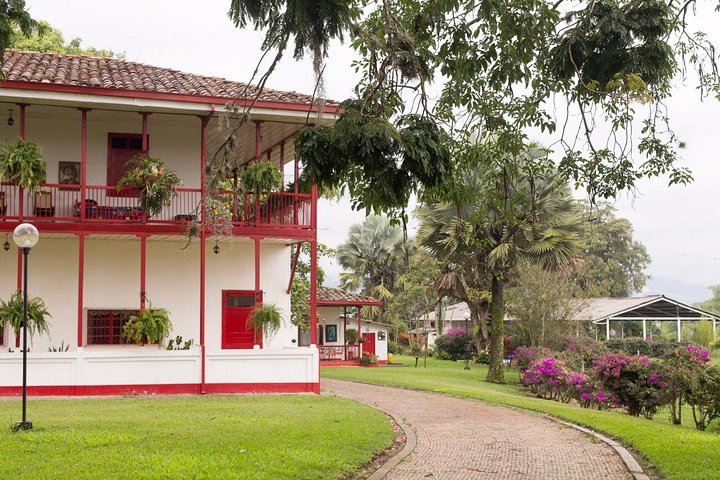 Coffee tour in the heart of the coffee region