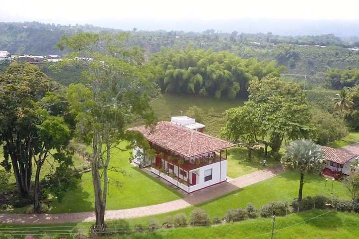 Coffee tour in the heart of the coffee region