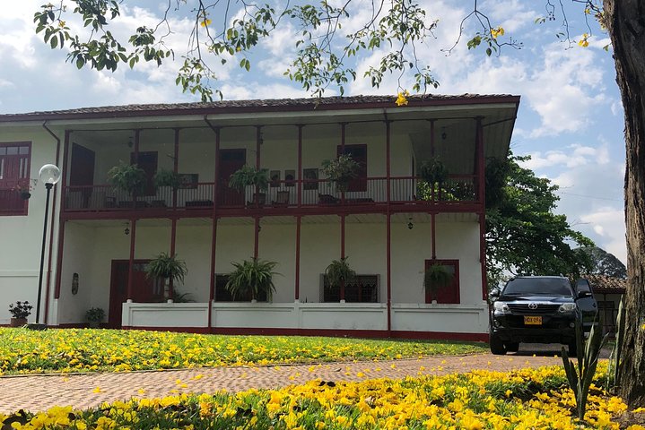 Coffee tour in the heart of the coffee region