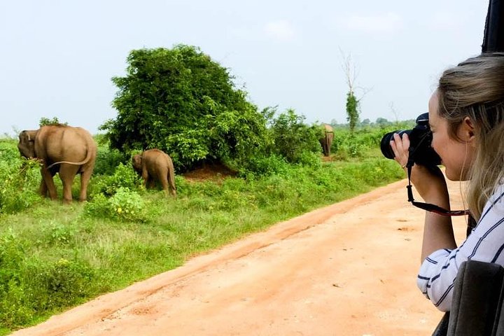 Udawalawe Private Safari frm Hambantota Port by BTM-All Inclusive