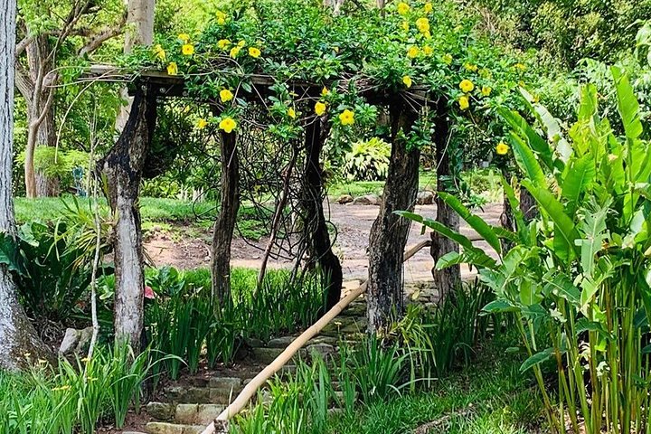 Finca San Lucas, Copan