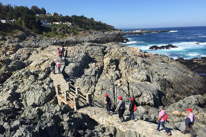 Zapallar Hiking and Bird Watching Penguin Island From Valparaíso