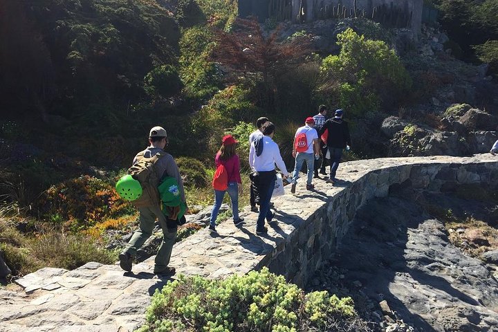 Zapallar Hiking and Bird Watching Penguin Island From Valparaíso