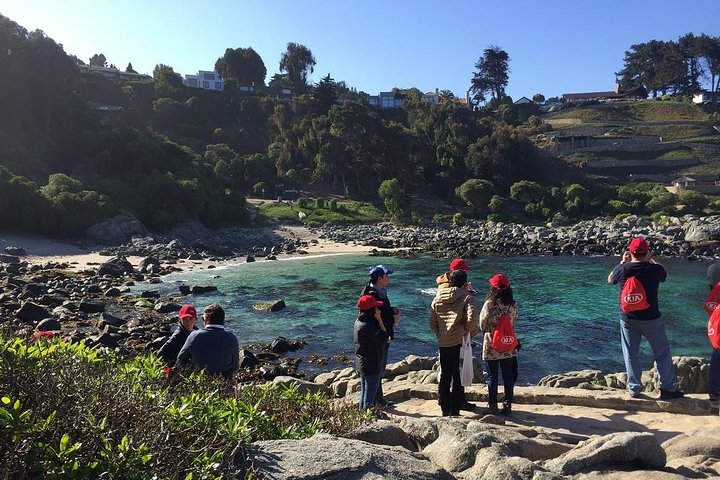 Zapallar Hiking and Bird Watching Penguin Island From Valparaíso
