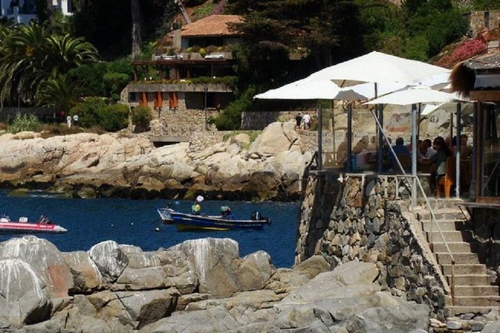 Zapallar Hiking and Bird Watching Penguin Island From Valparaíso