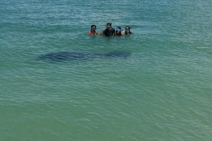 Shell Key & Dolphins - Semi-Private Tours