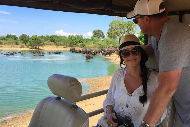 Yala Full Day Safari with Picnic Lunch - Private & All Inclusive