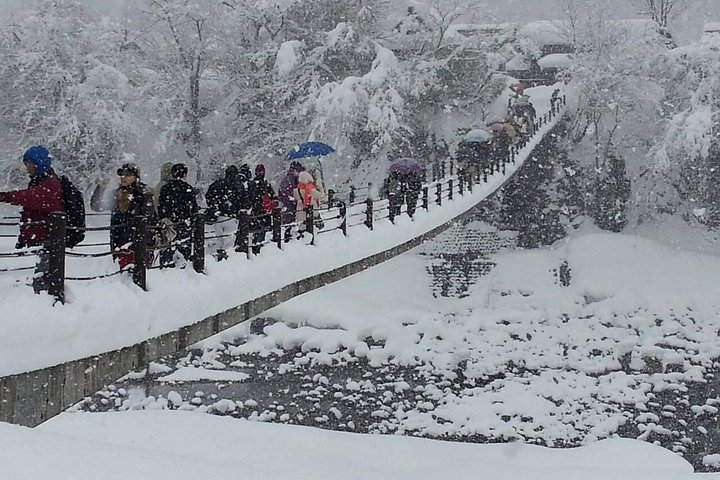 [One-day bus tour departing from Kanazawa Station] Shirakawa-go and Gokayama - Two World Heritage Villages Enjoyable Bus Tour