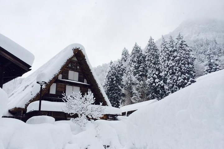 [One-day bus tour departing from Kanazawa Station] Shirakawa-go and Gokayama - Two World Heritage Villages Enjoyable Bus Tour