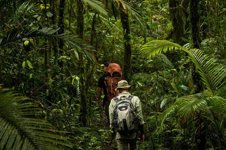 Sulawesi Tangkoko National Park Private Tour