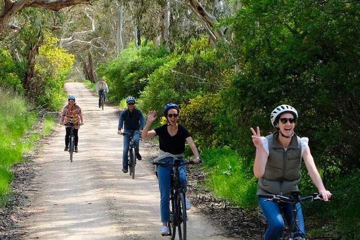 Discover McLaren Vale on eBikes - Full Day