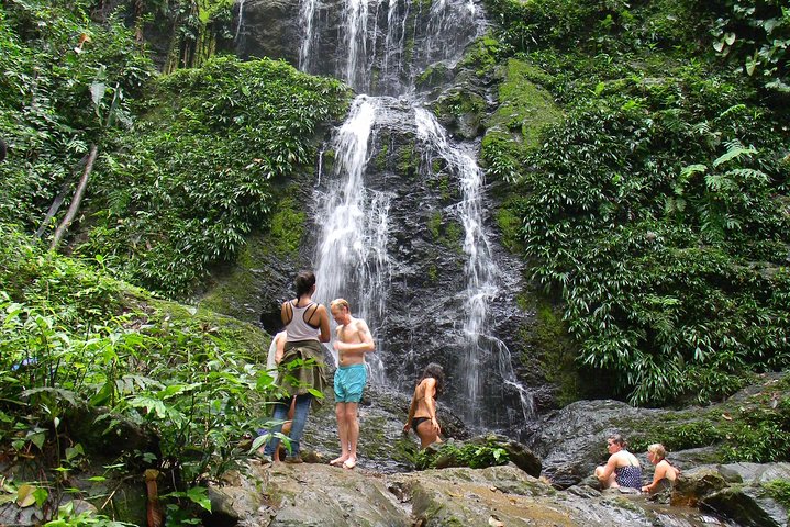 Full-Day Brownsberg Nature Park Tour