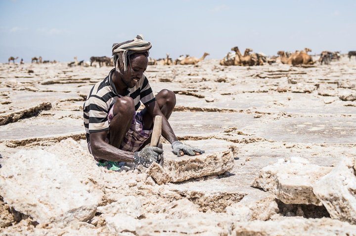 Danakil 3 days tour