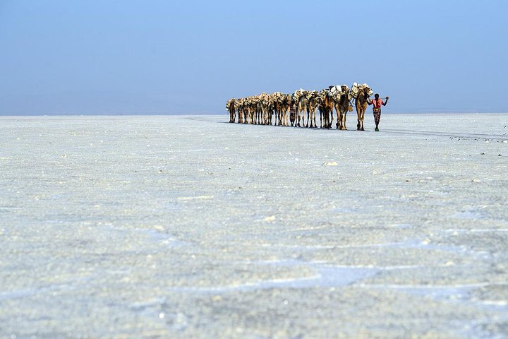 Danakil 3 days tour
