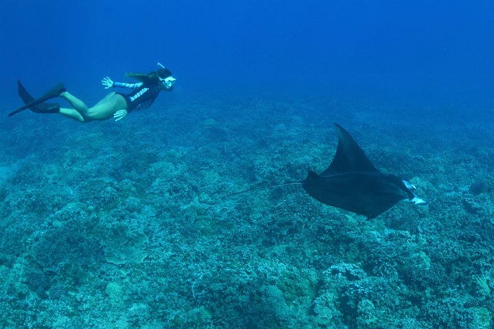 Maui Snorkeling Adventure From Ma'alaea Harbor to Molokini