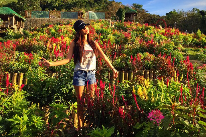 Private Cebu & Lapu-Lapu City Tour with Uphill Spots & Lunch at House of Lechon