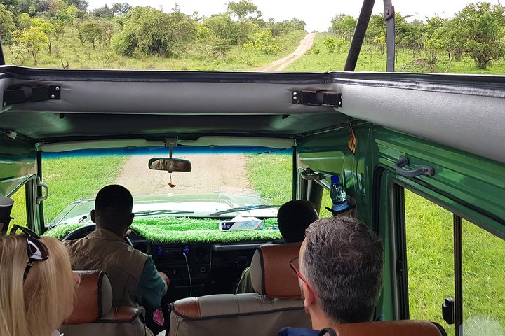 One-day Akagera National Park Game Drive with a Choice 4x4