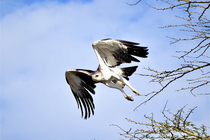 1 Day Safari to Lake Nakuru National Park