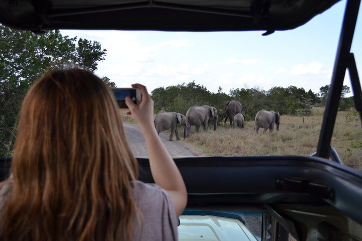 2-Day, 1-Night Ol Pejeta, The Heart of Rhino Conservation.