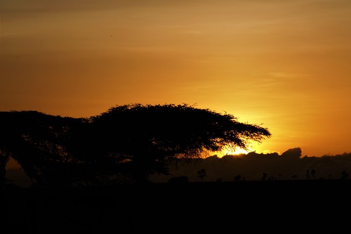 2-Day, 1-Night Ol Pejeta, The Heart of Rhino Conservation.