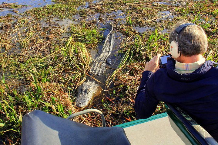 Florida Everglades Airboat Tour and Wild Florida Admission with Optional Lunch