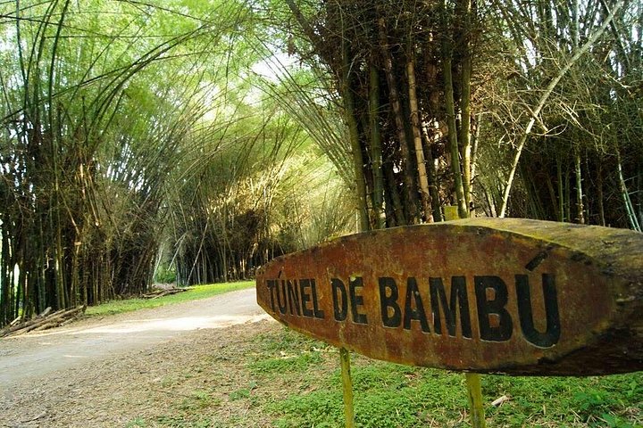 Lancetilla Botanical Garden from San Pedro Sula
