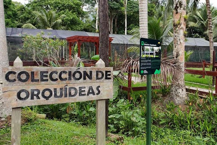 Lancetilla Botanical Garden from San Pedro Sula