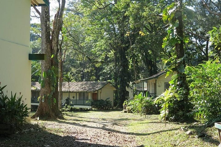 Lancetilla Botanical Garden from San Pedro Sula