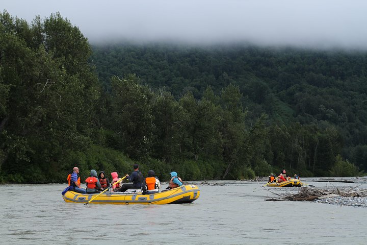 Half-Day Chilkat Bald Eagle Preserve Float Tour