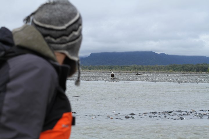 Half-Day Chilkat Bald Eagle Preserve Float Tour