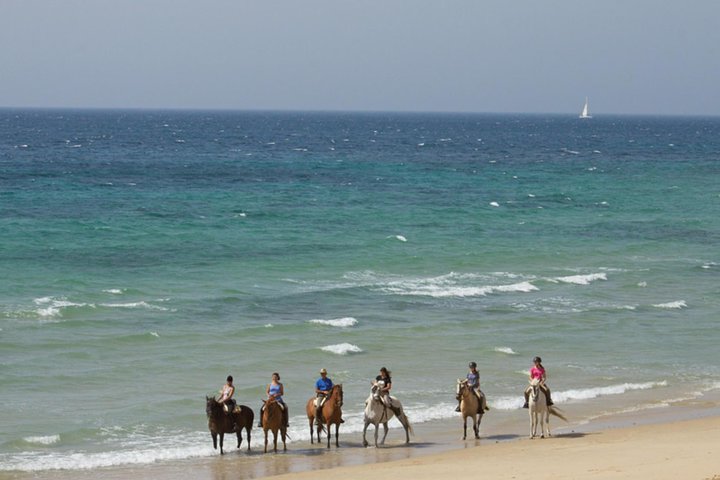 Horseback Riding by the beach or mountain in Tarifa, Spain - 1 to 2 hrs