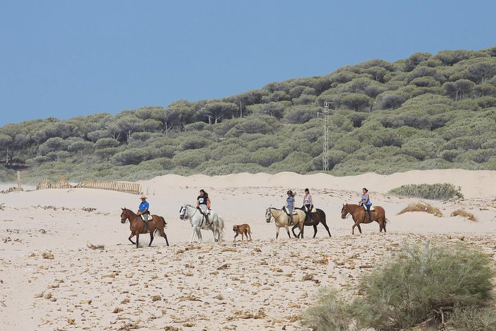 Horseback Riding by the beach or mountain in Tarifa, Spain - 1 to 2 hrs