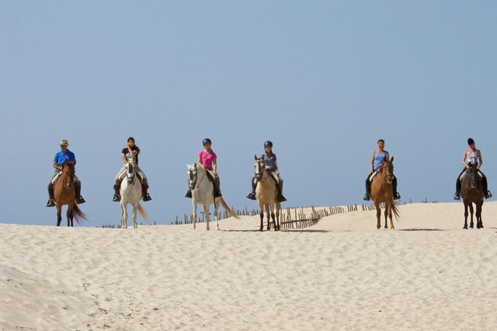 Horseback Riding by the beach or mountain in Tarifa, Spain - 1 to 2 hrs