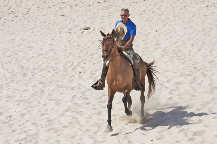 Horseback Riding by the beach or mountain in Tarifa, Spain - 1 to 2 hrs