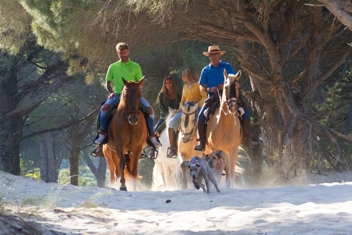 Horseback Riding by the beach or mountain in Tarifa, Spain - 1 to 2 hrs