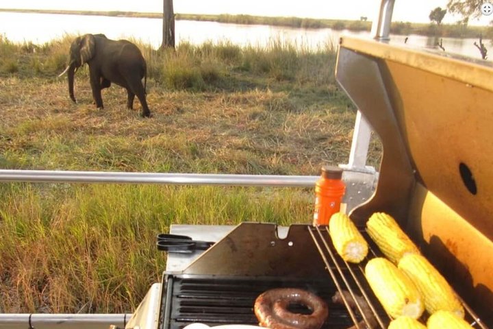 Chobe Full Day Trip from Kasane, Botswana