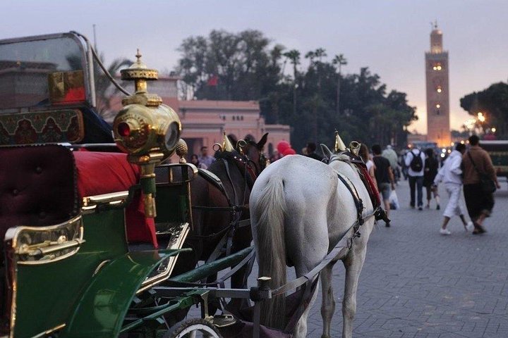 Marrakech Guided Day Trip from Agadir: Medina & Souks Tour