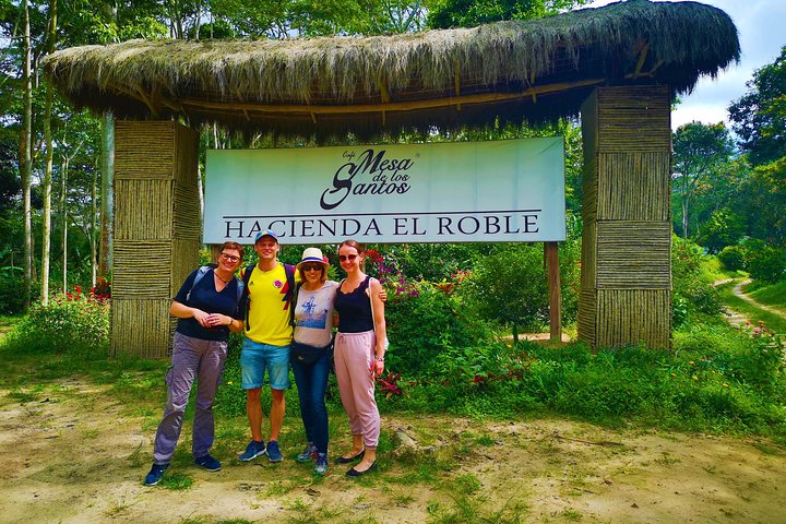 Private Tour - Coffee Tour (Cultivations)