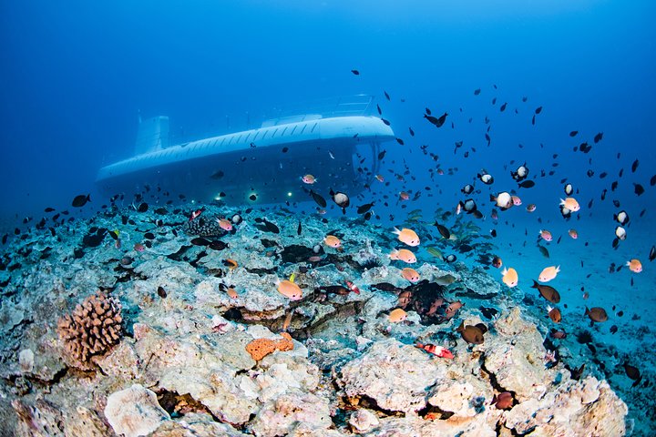 Maui Atlantis Submarine Adventure